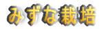 ݂ȍ͔|